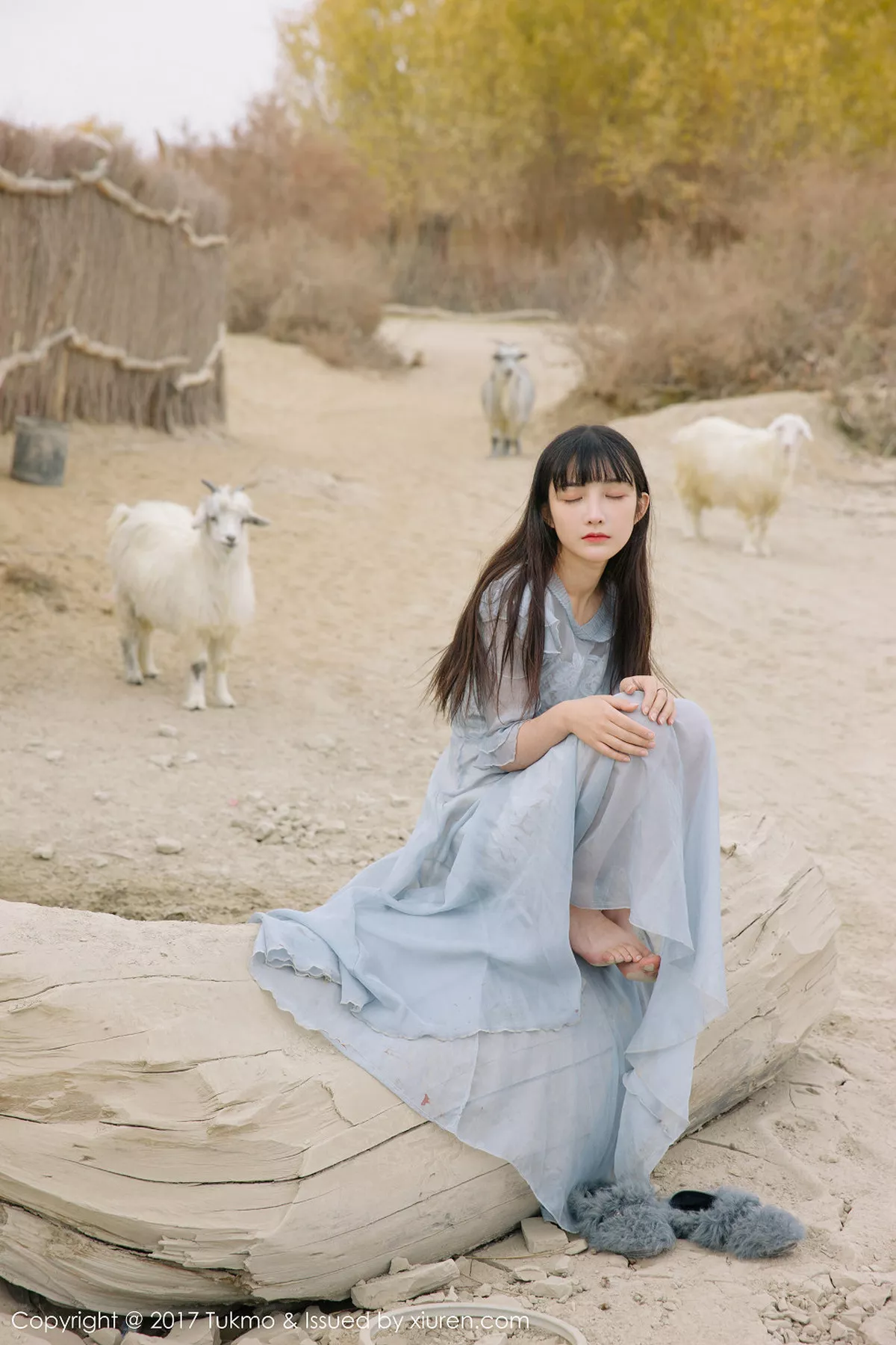 图片[33]-[BoLoli兔几盟]第104期之应写真-秀人资源网