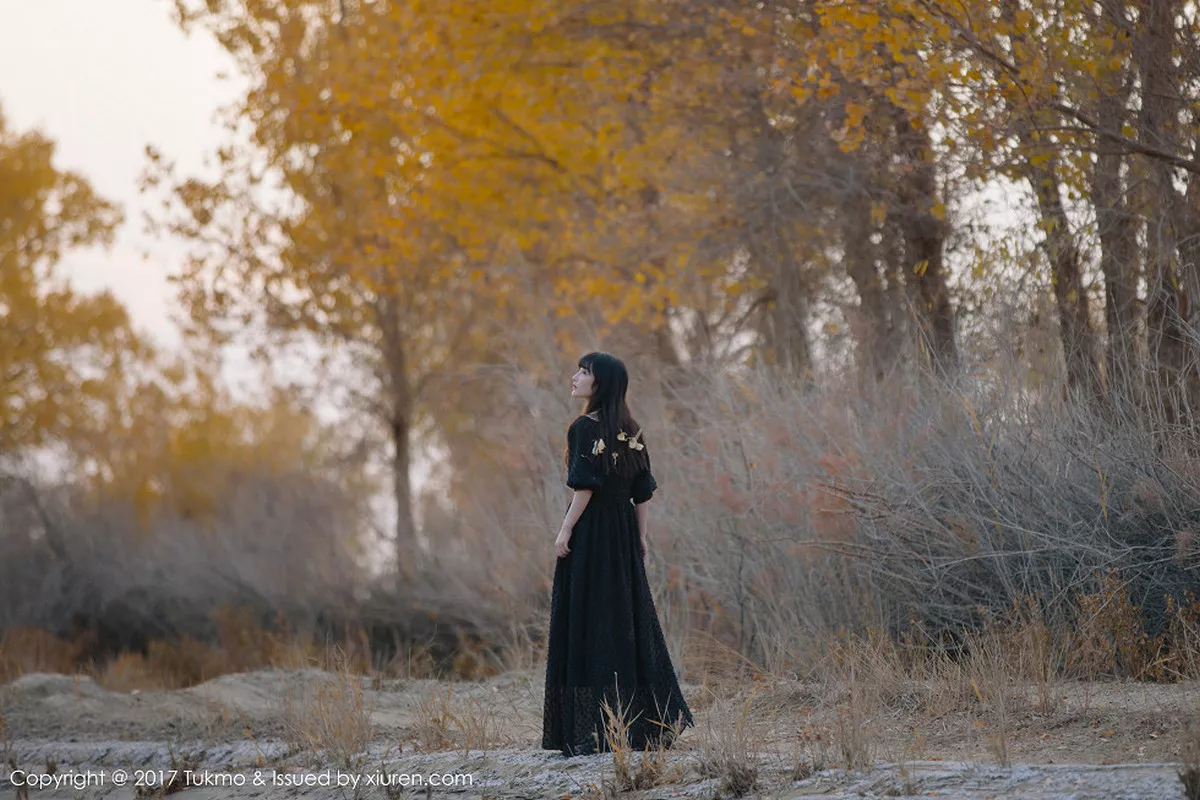 图片[17]-[BoLoli兔几盟]第104期之应写真-秀人资源网