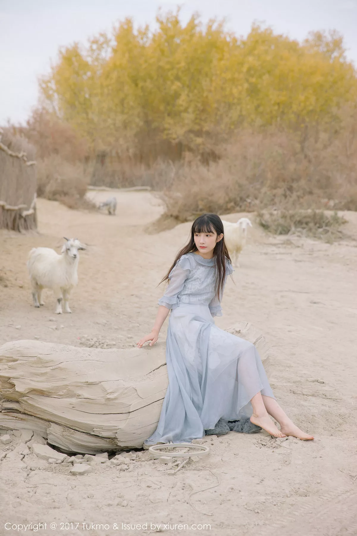 图片[36]-[BoLoli兔几盟]第104期之应写真-秀人资源网