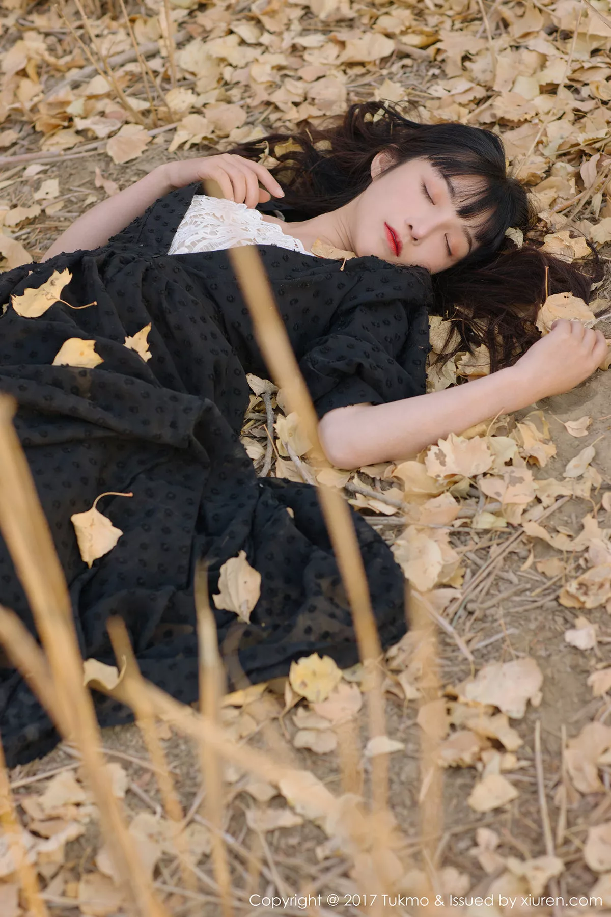 图片[6]-[BoLoli兔几盟]第104期之应写真-秀人资源网