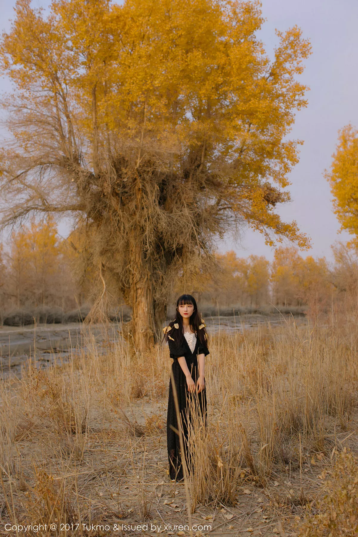 图片[11]-[BoLoli兔几盟]第104期之应写真-秀人资源网