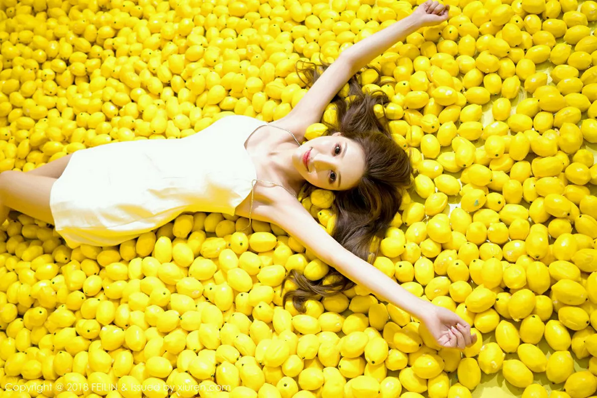 图片[2]-[FeiLin嗲囡囡]第170期柠柠写真-秀人资源网