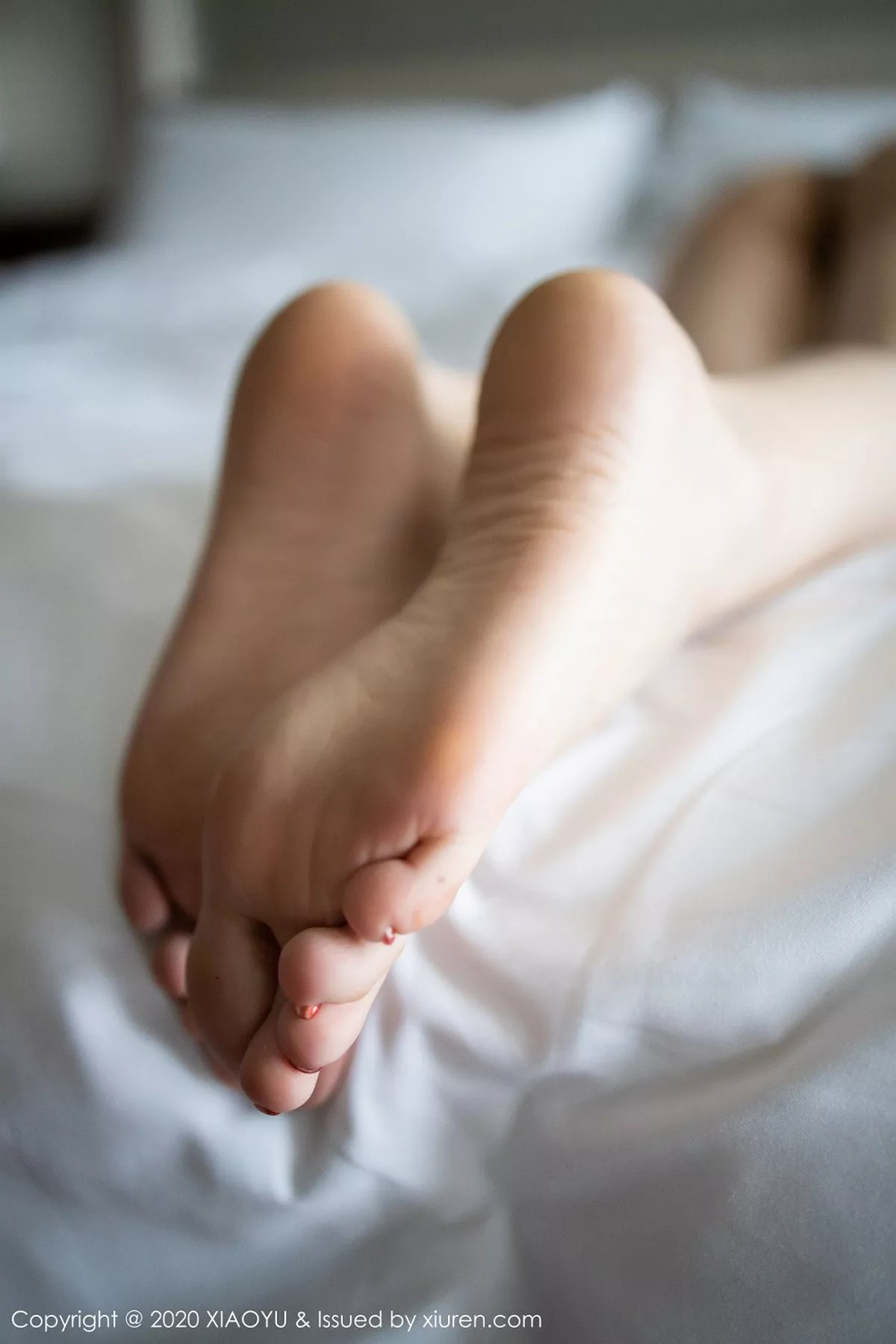 图片[6]-[XiaoYu画语界]第259期顾乔楠写真-秀人资源网