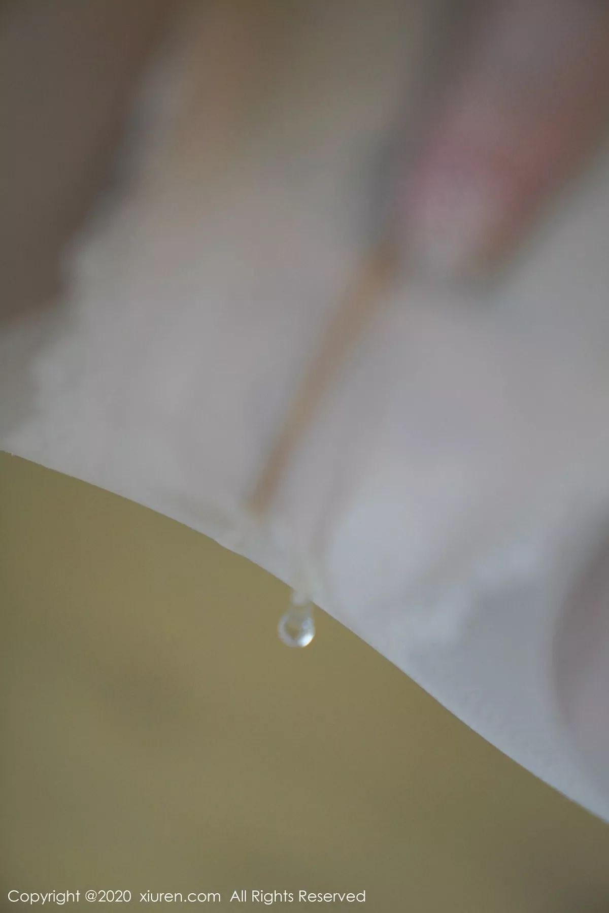 [XiuRen秀人网]第2506期沈梦瑶写真-秀人资源网
