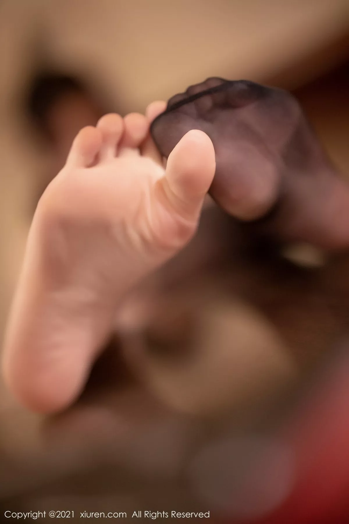 图片[3]-[XiuRen秀人网]第3041期杨晨晨写真-秀人资源网