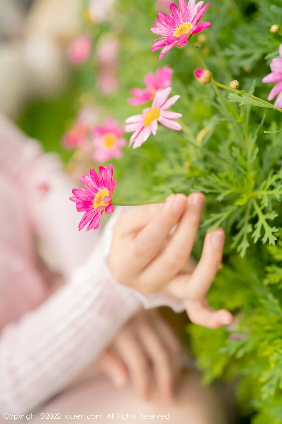 图片[9]-[XiuRen秀人网]第5295期朱可儿写真-秀人资源网