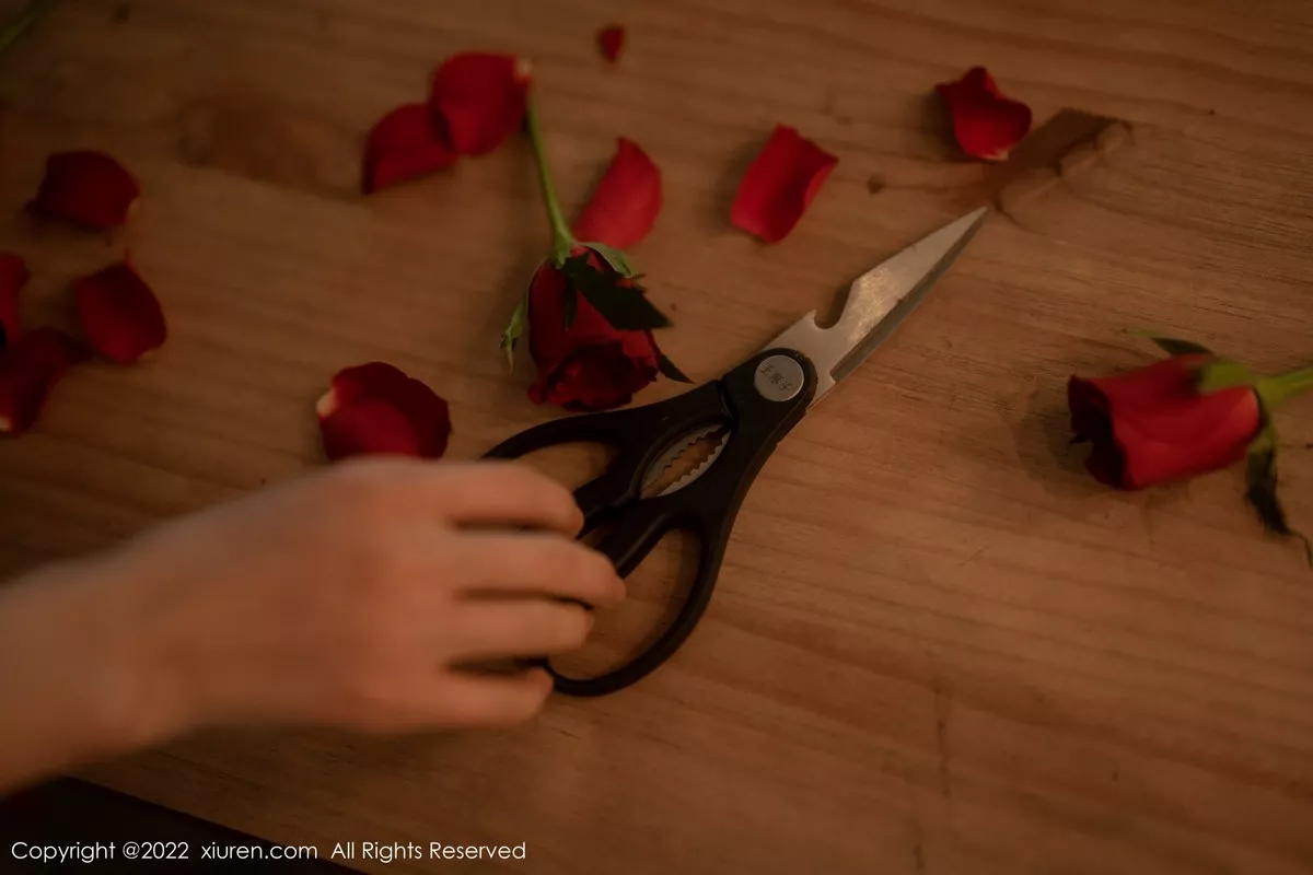 图片[3]-[XiuRen秀人网]第5552期婠婠么写真-秀人资源网