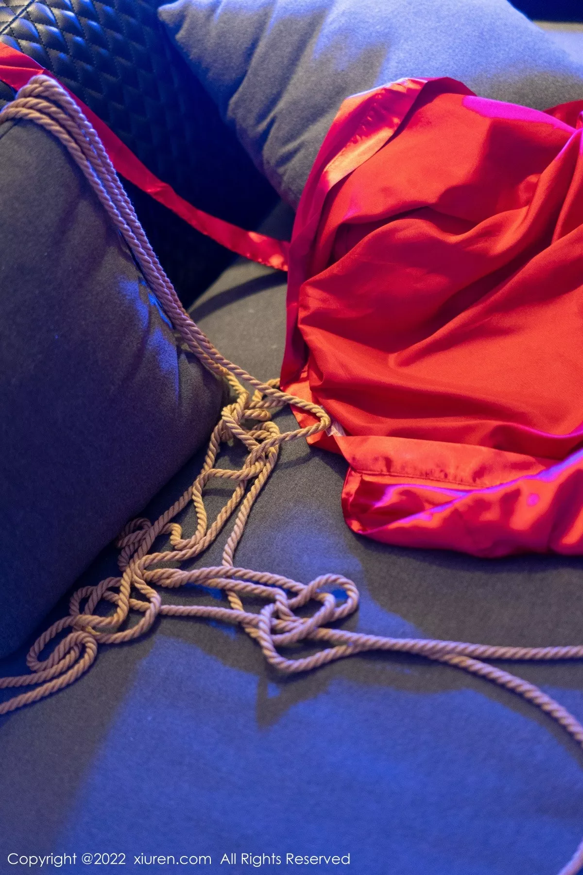 图片[18]-[XiuRen秀人网]第5586期阿姣写真-秀人资源网