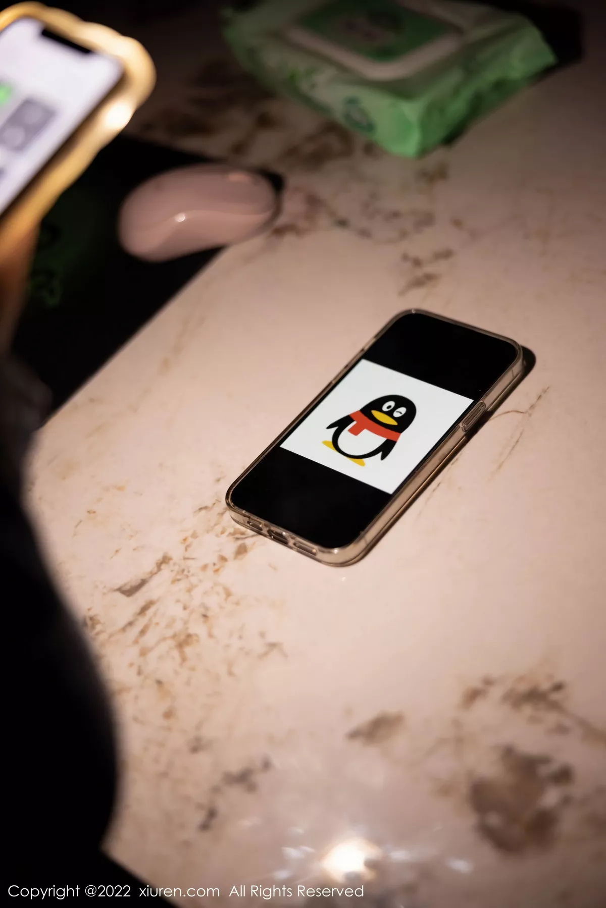 图片[5]-[XiuRen秀人网]第5671期绮里嘉写真-秀人资源网