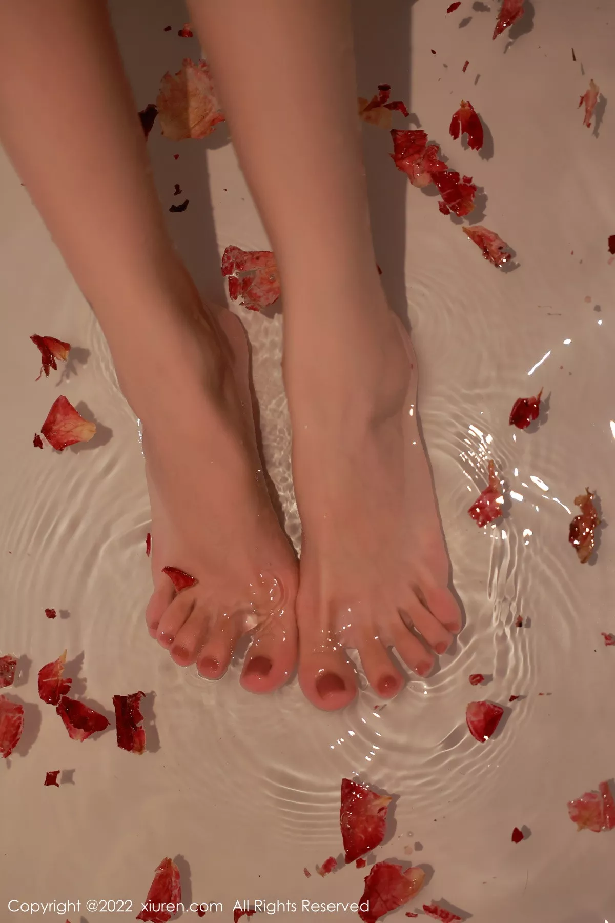 图片[2]-[XiuRen秀人网]第5682期韩心雨写真-秀人资源网