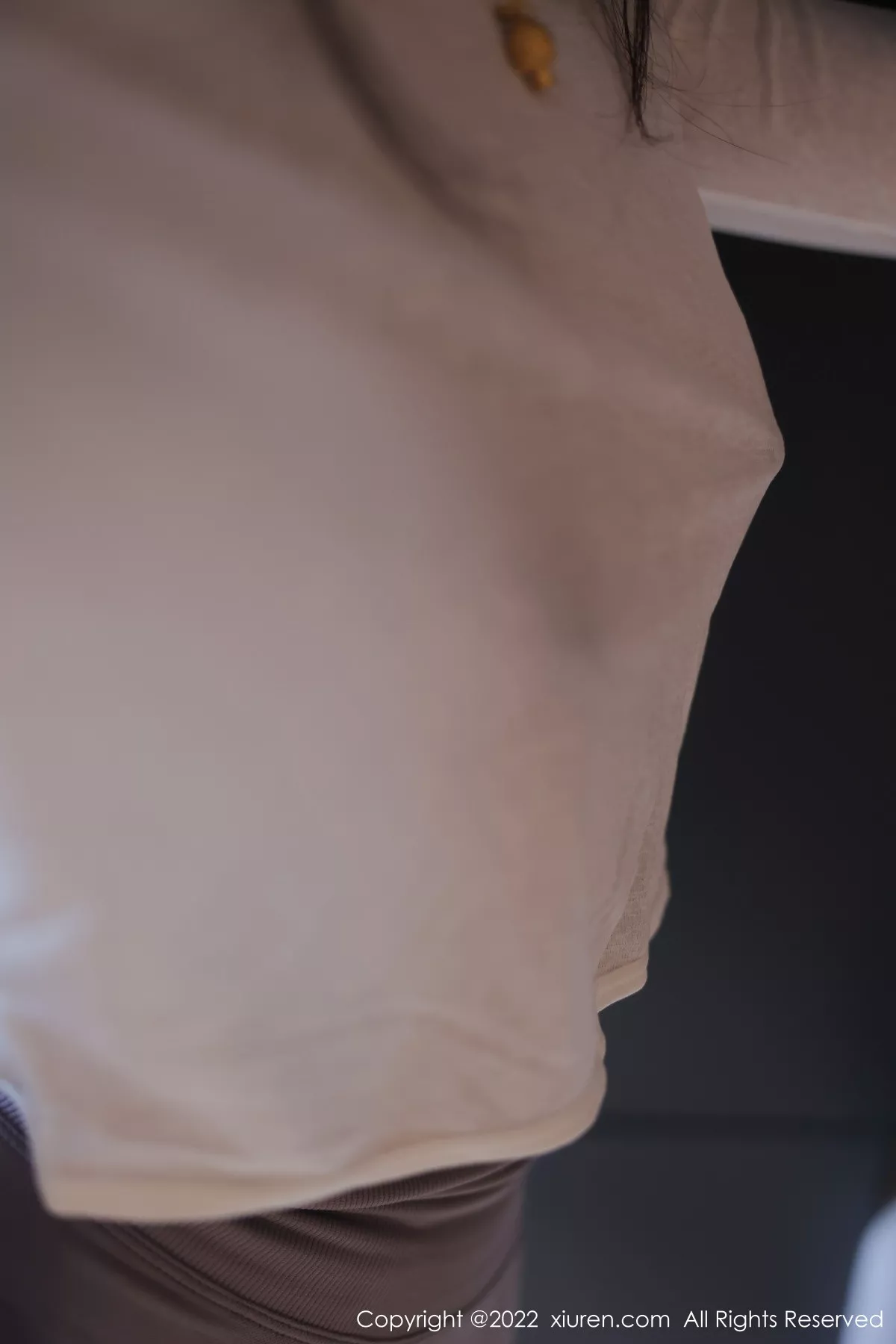 图片[45]-[XiuRen秀人网]第5799期苏苏阿写真-秀人资源网