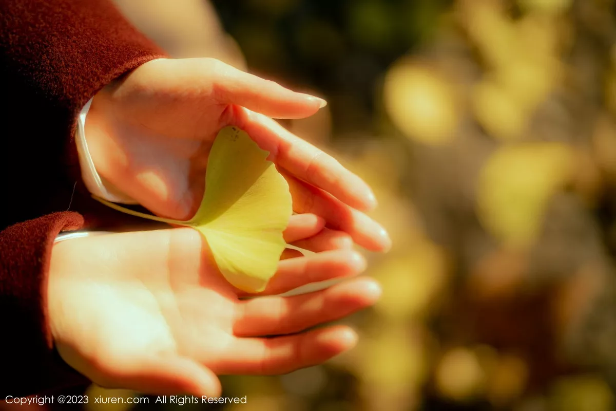 图片[7]-[XiuRen秀人网]第6137期婠婠么写真-秀人资源网