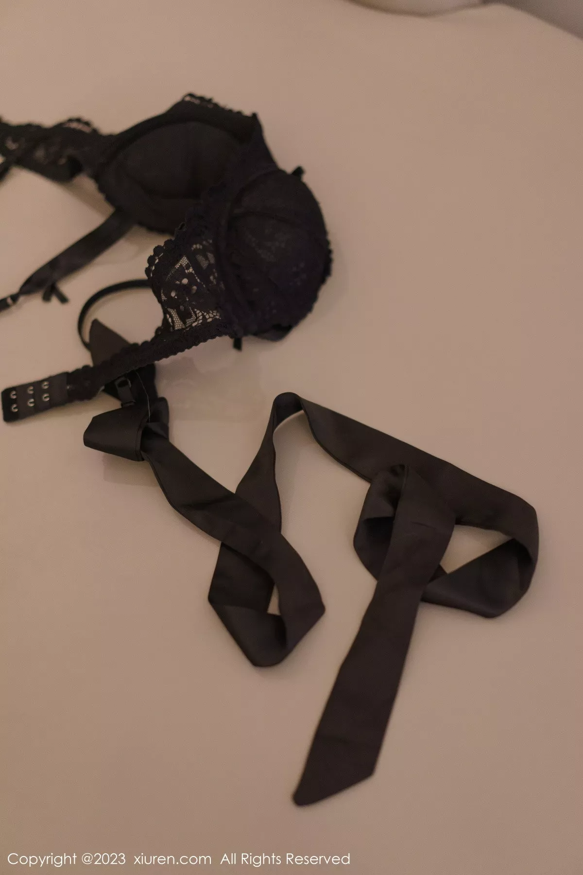 图片[12]-[XiuRen秀人网]第6150期icy猪写真-秀人资源网