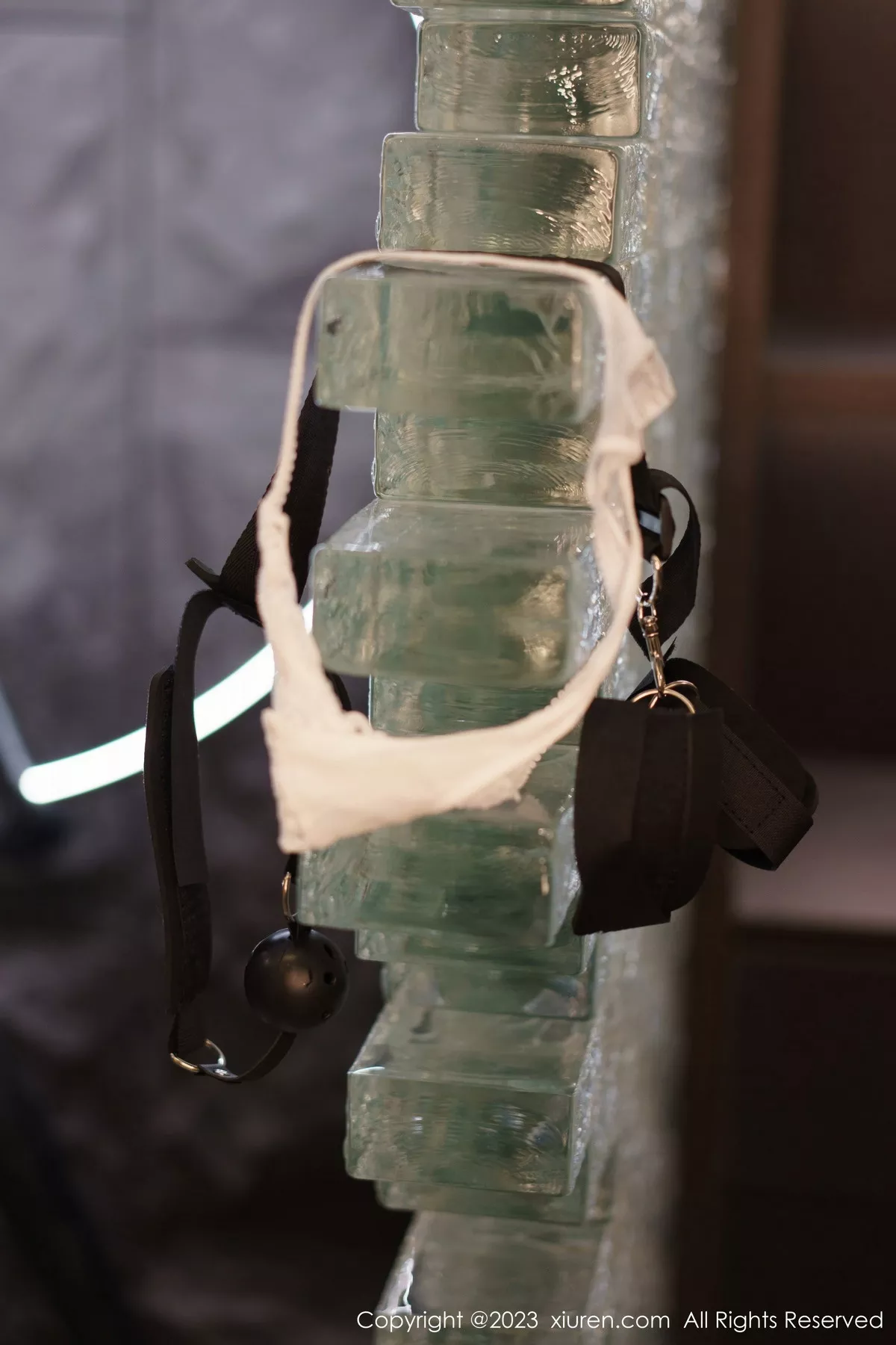 图片[4]-[XiuRen秀人网]第6206期icy猪写真-秀人资源网