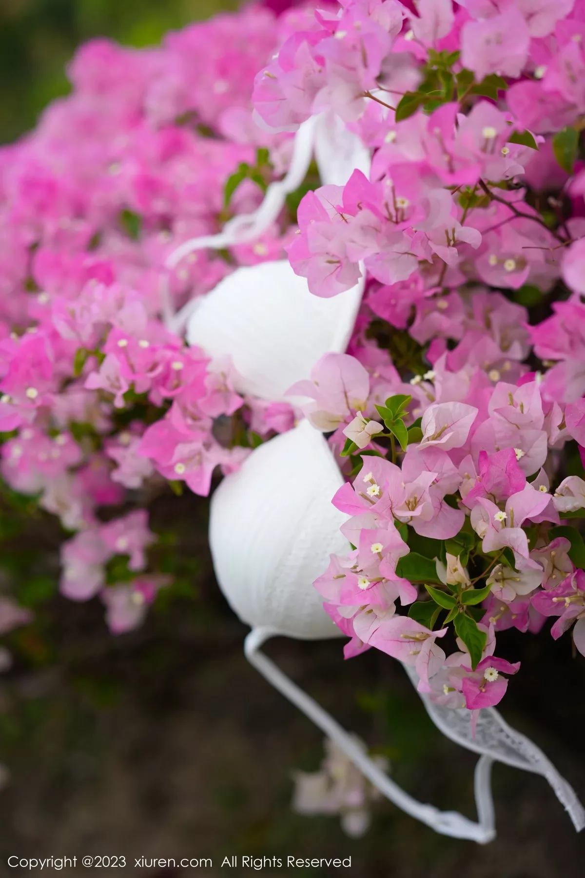 图片[9]-[XiuRen秀人网]第6359期阿姣写真-秀人资源网