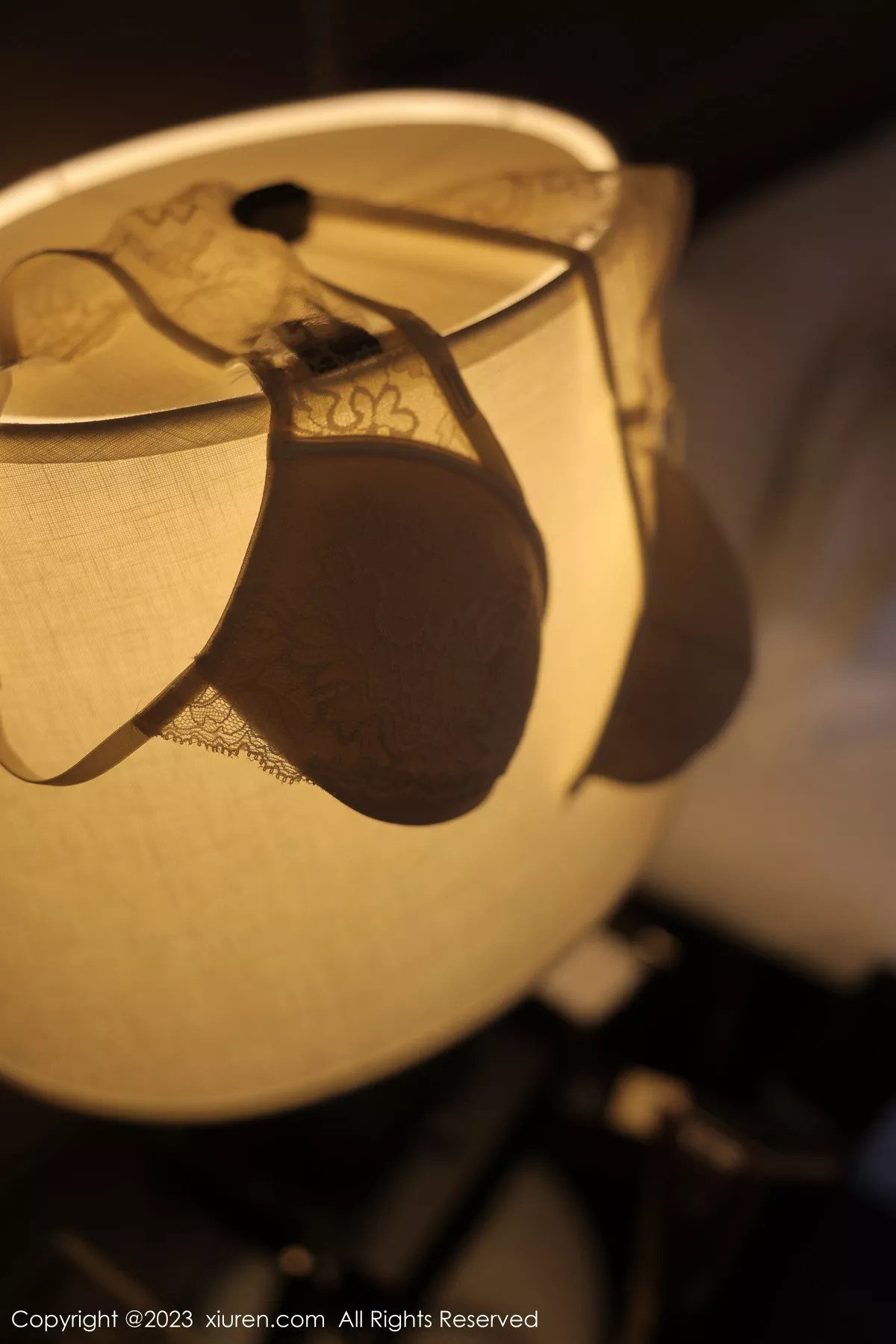 图片[24]-[XiuRen秀人网]第6290期yoo优优写真-秀人资源网