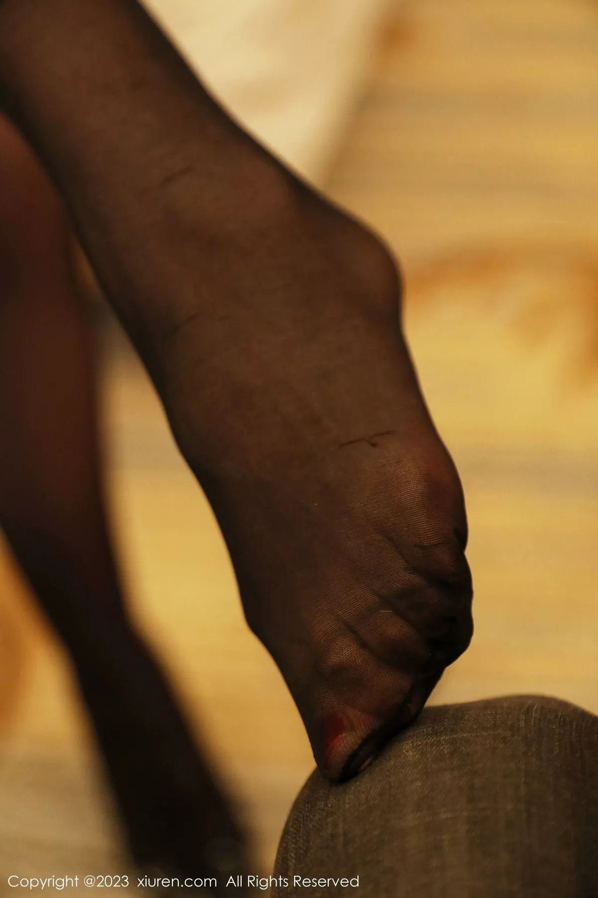 图片[5]-[XiuRen秀人网]第6287期诗诗写真-秀人资源网