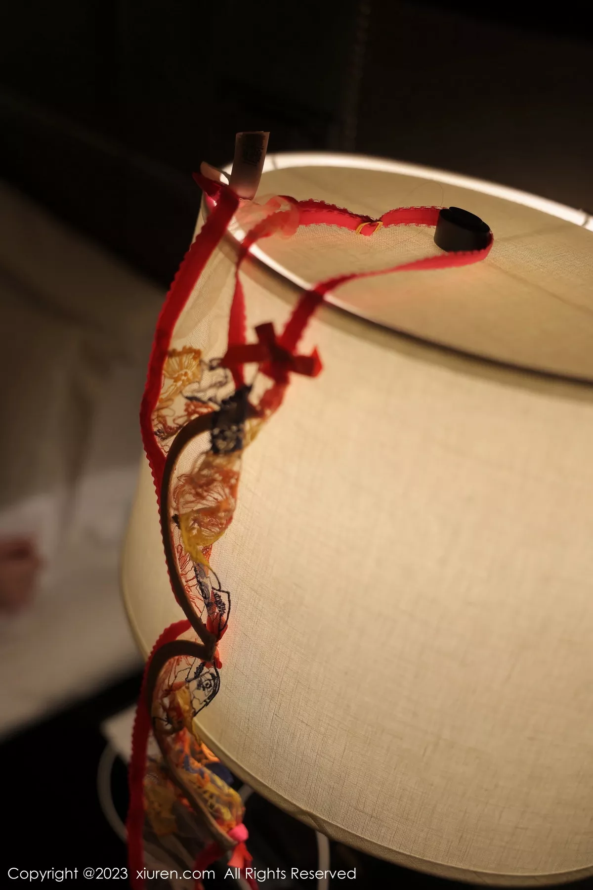 图片[11]-[XiuRen秀人网]第6317期林珊珊写真-秀人资源网