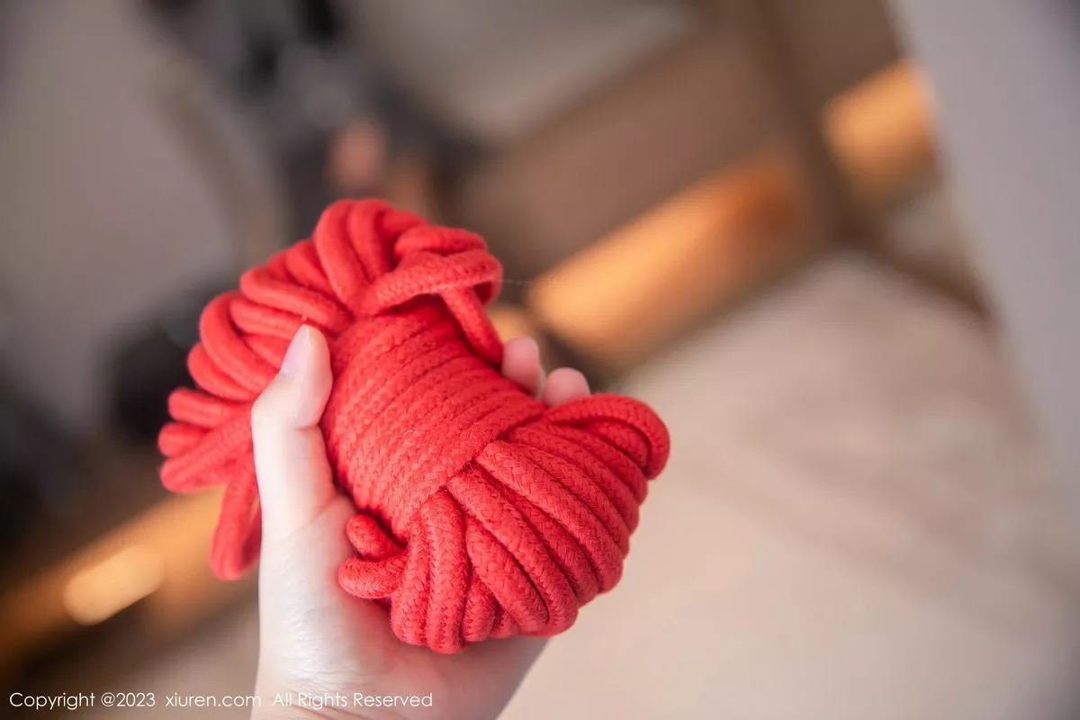 图片[4]-[XiuRen秀人网]第6495期谭小灵写真-秀人资源网