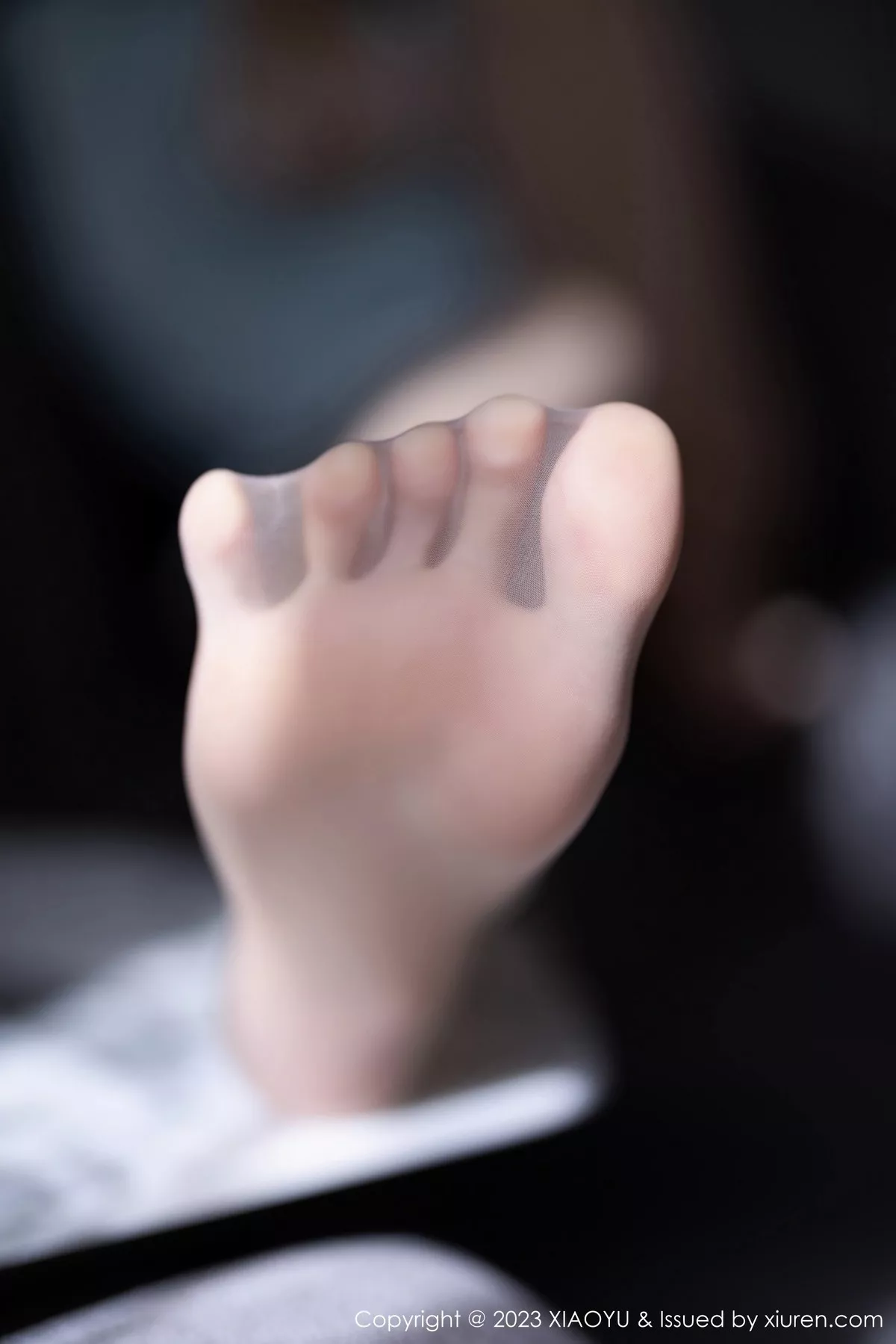 图片[16]-[XiaoYu画语界]第999期林乐一写真-秀人资源网