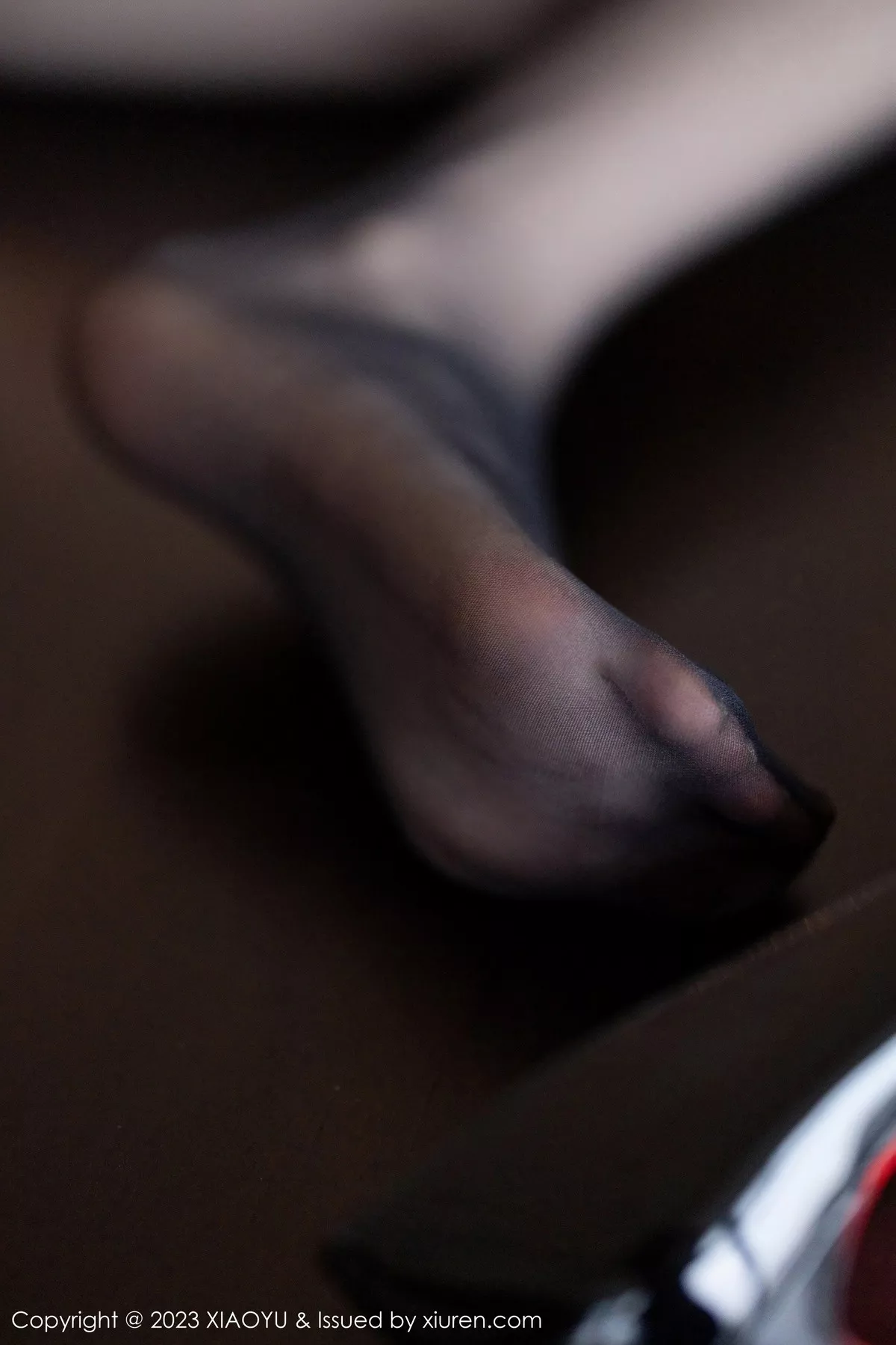 图片[10]-[XiaoYu画语界]第1000期林星阑写真-秀人资源网