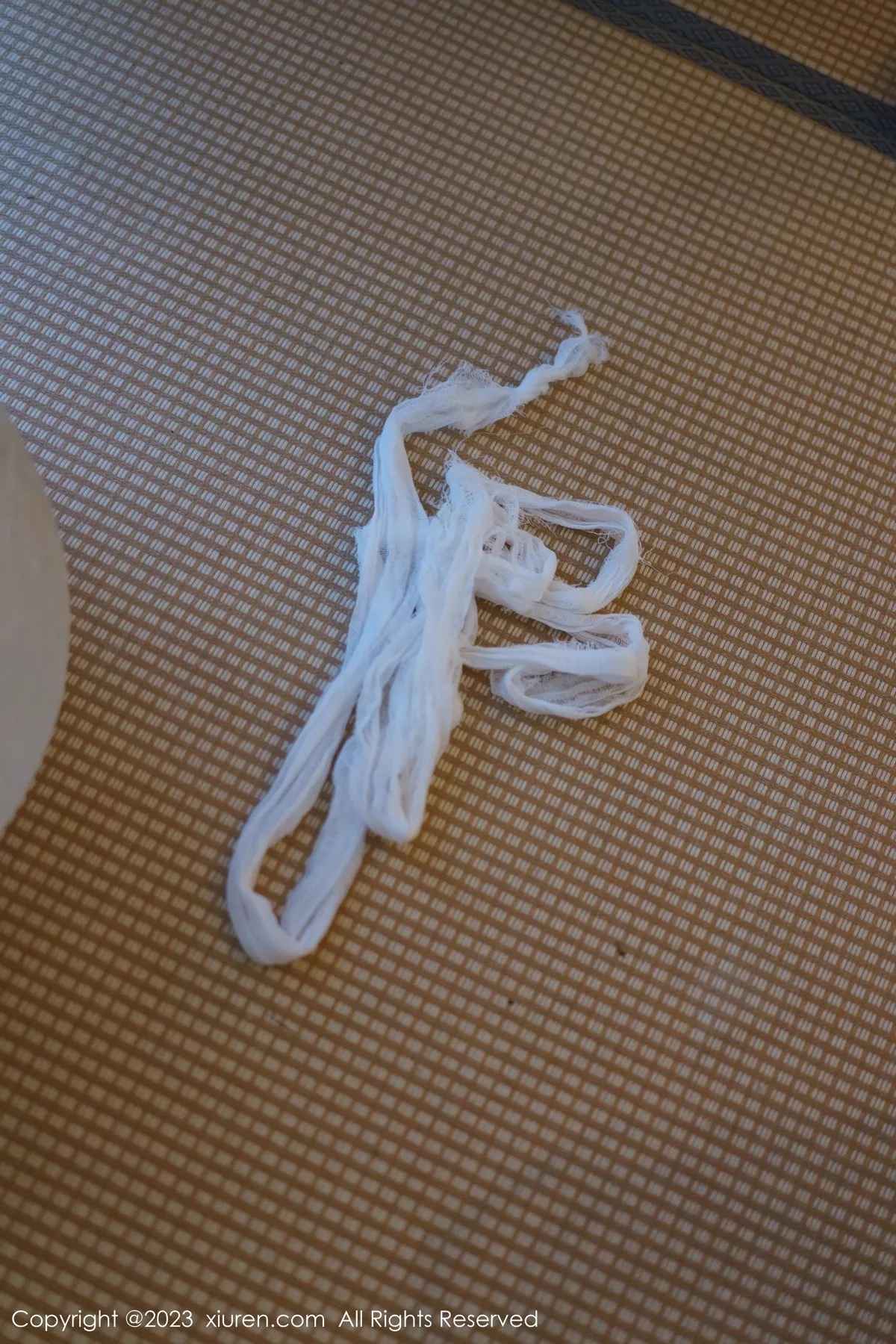 图片[8]-[XiuRen秀人网]第6575期阿姣写真-秀人资源网