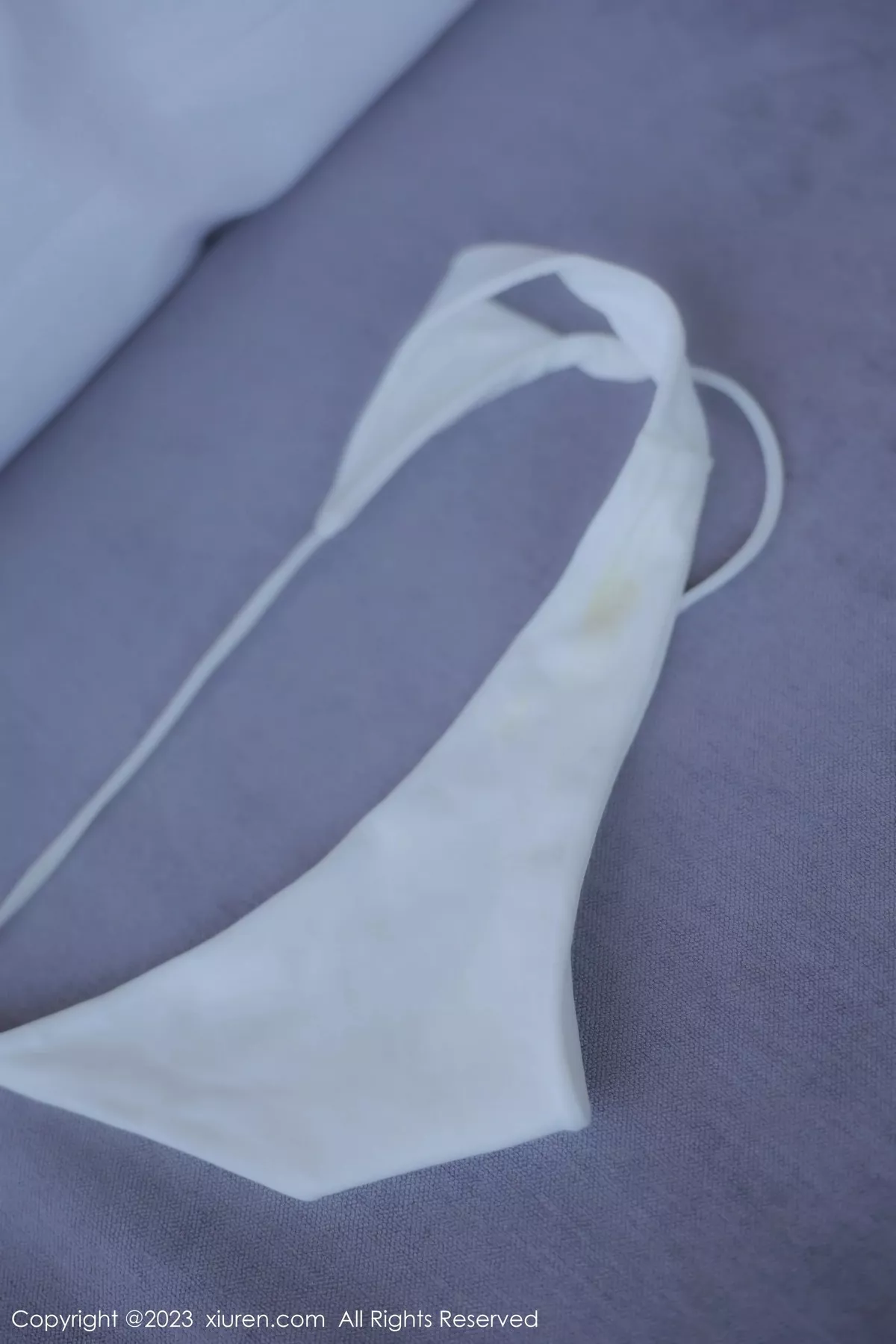 图片[14]-[XiuRen秀人网]第6588期Lingyu69写真-秀人资源网