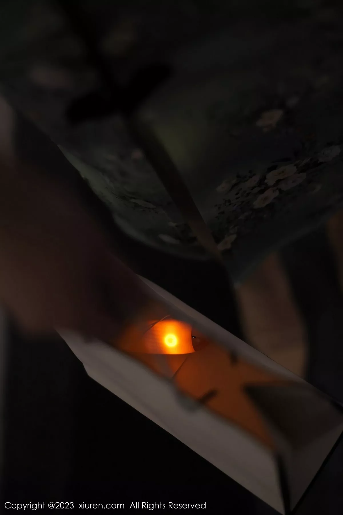 图片[8]-[XiuRen秀人网]第6464期薇薇写真-秀人资源网