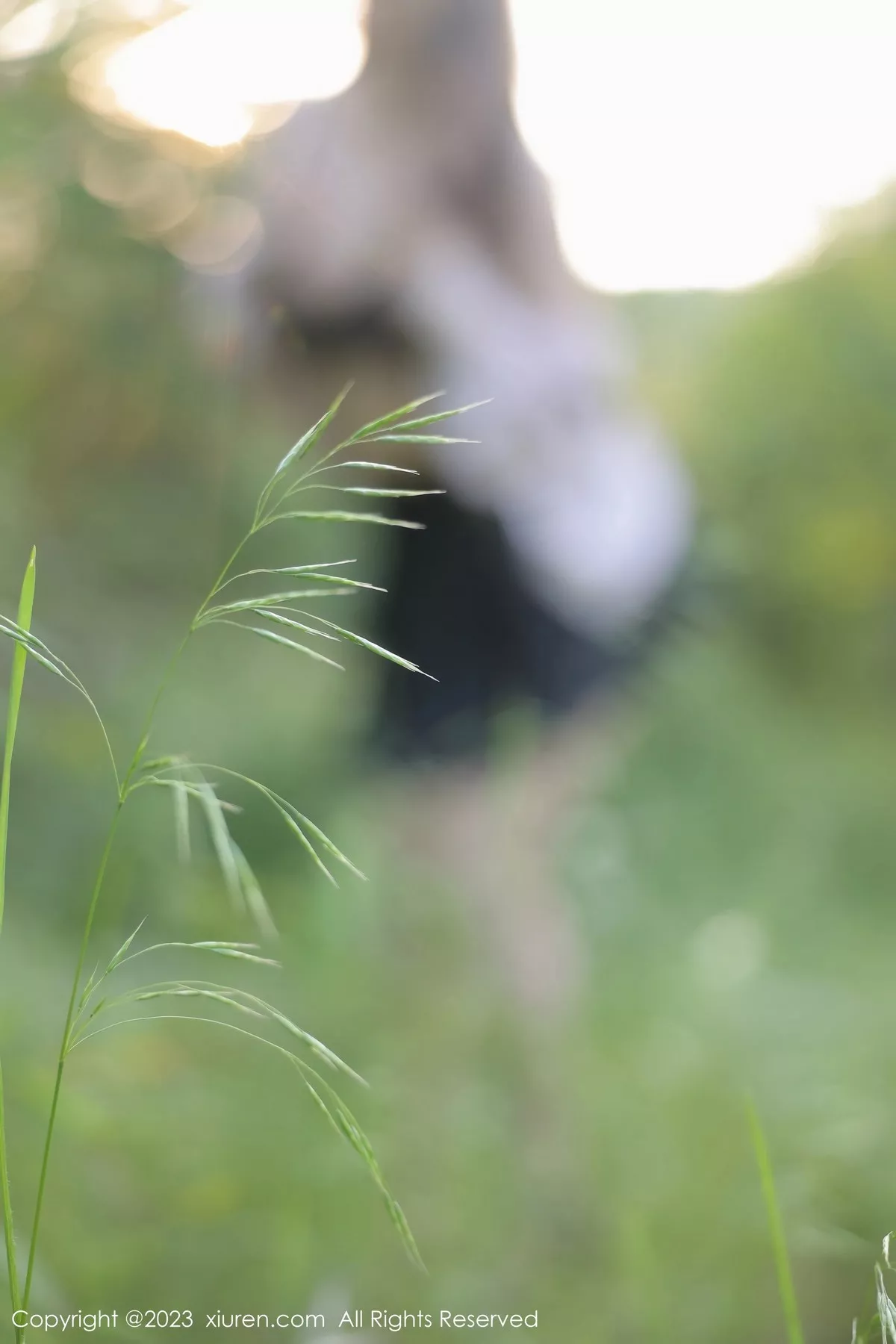 图片[35]-[XiuRen秀人网]第6721期江真真写真-秀人资源网