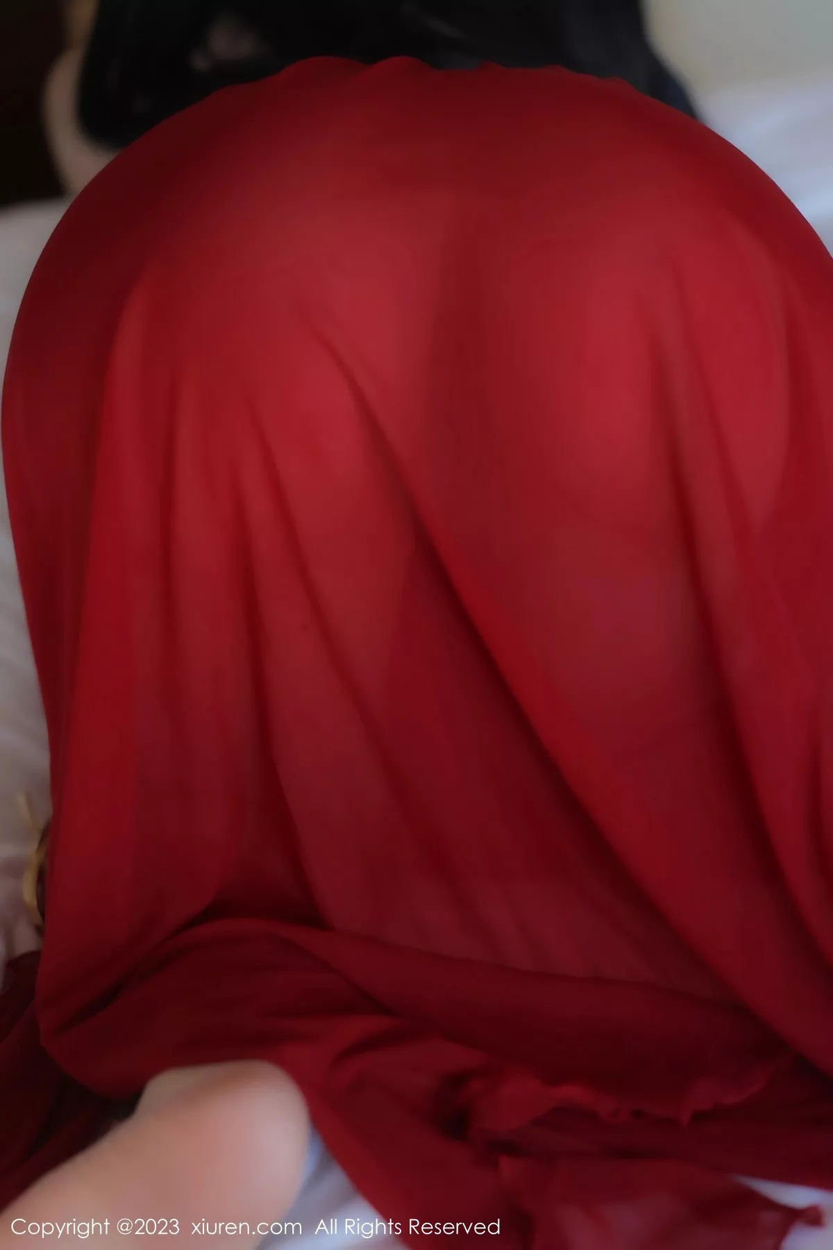 图片[12]-[XiuRen秀人网]第6613期林珊珊写真-秀人资源网