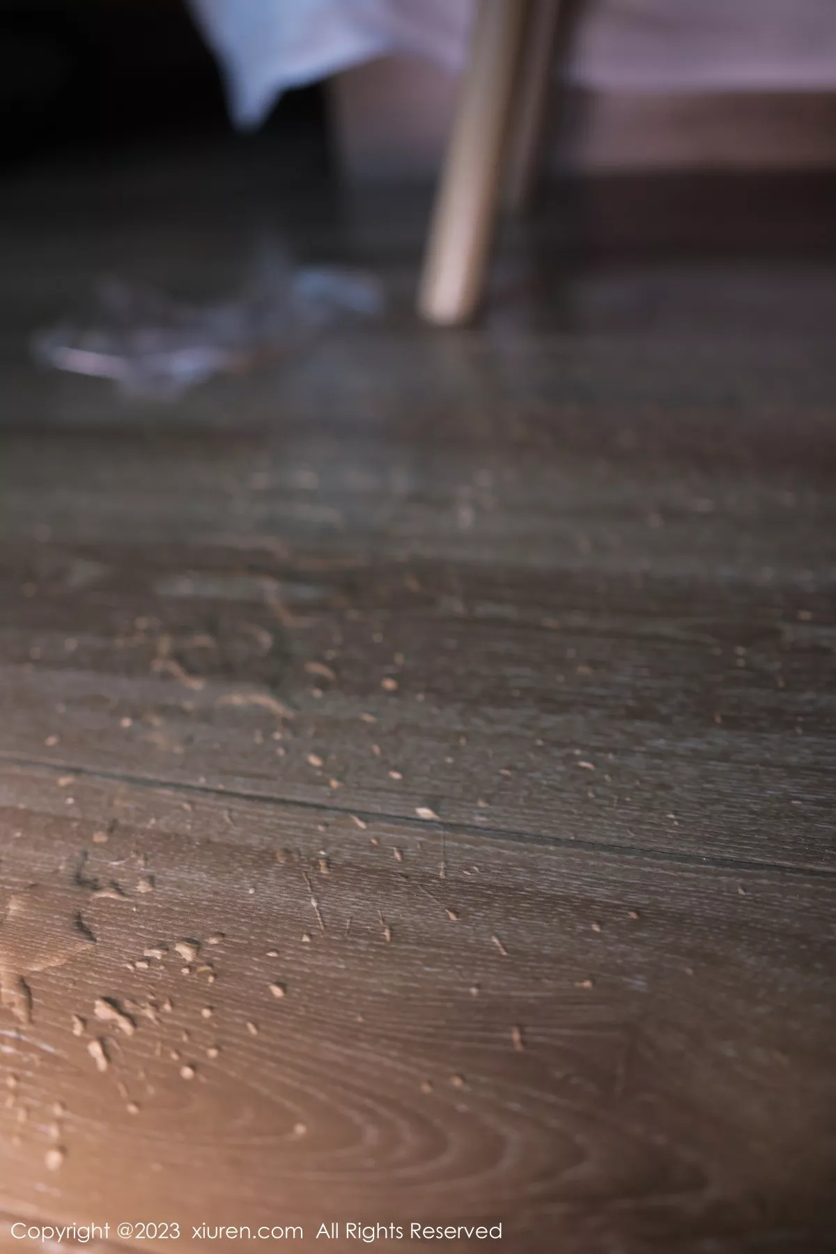 图片[3]-[XiuRen秀人网]第7010期幼幼写真-秀人资源网