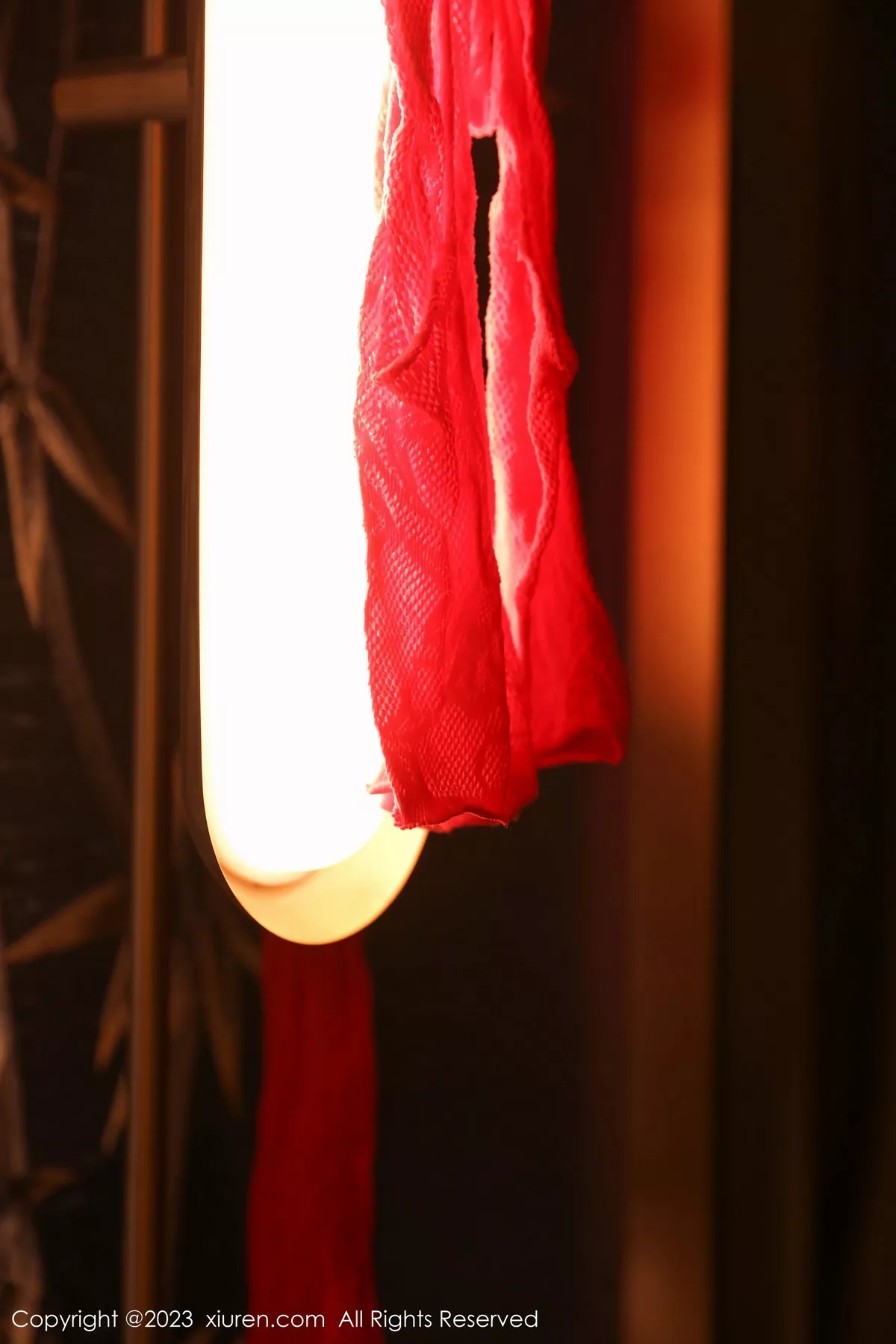 图片[14]-[XiuRen秀人网]第7069期柚琪写真-秀人资源网