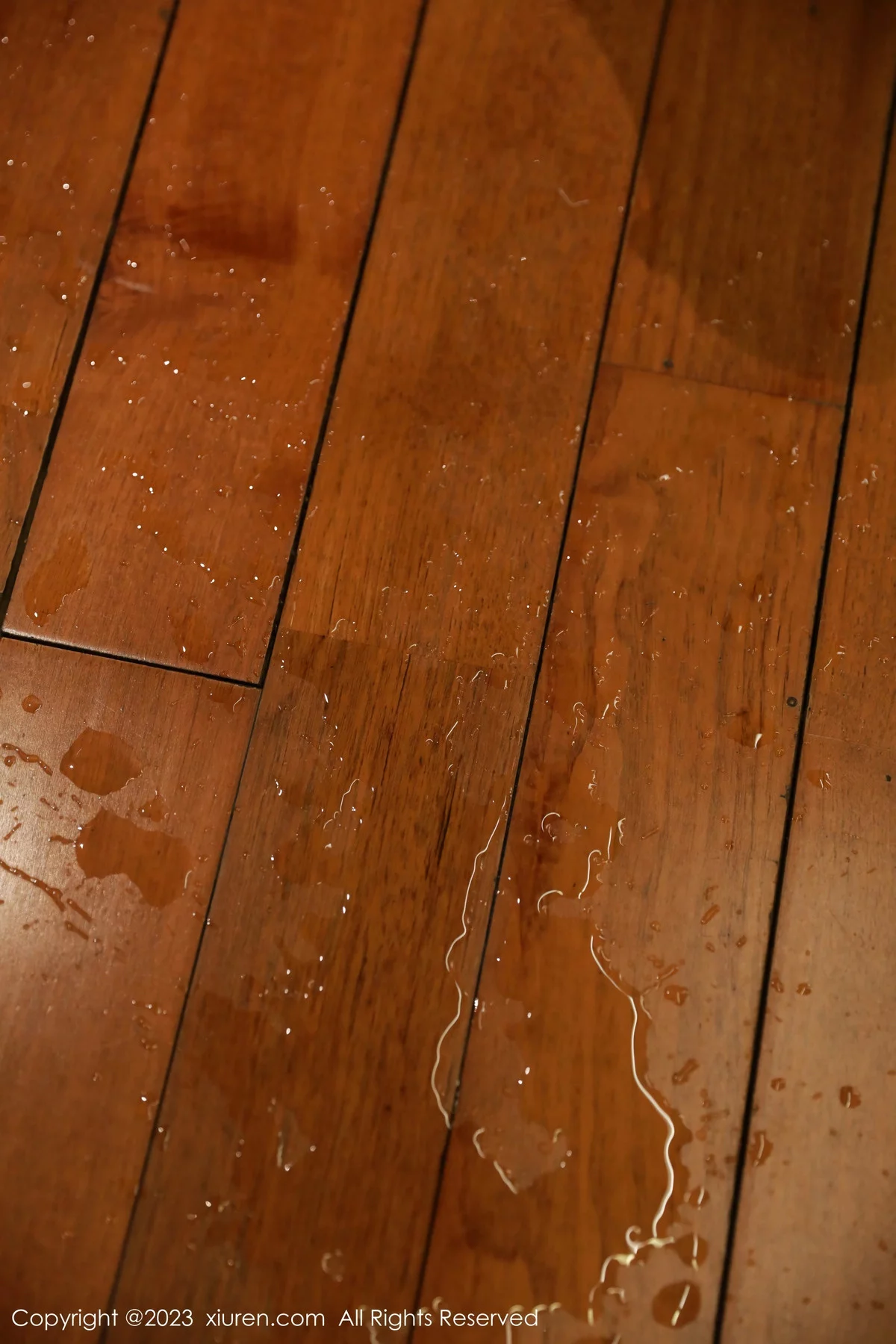 图片[24]-[XiuRen秀人网]第7821期小薯条写真-秀人资源网