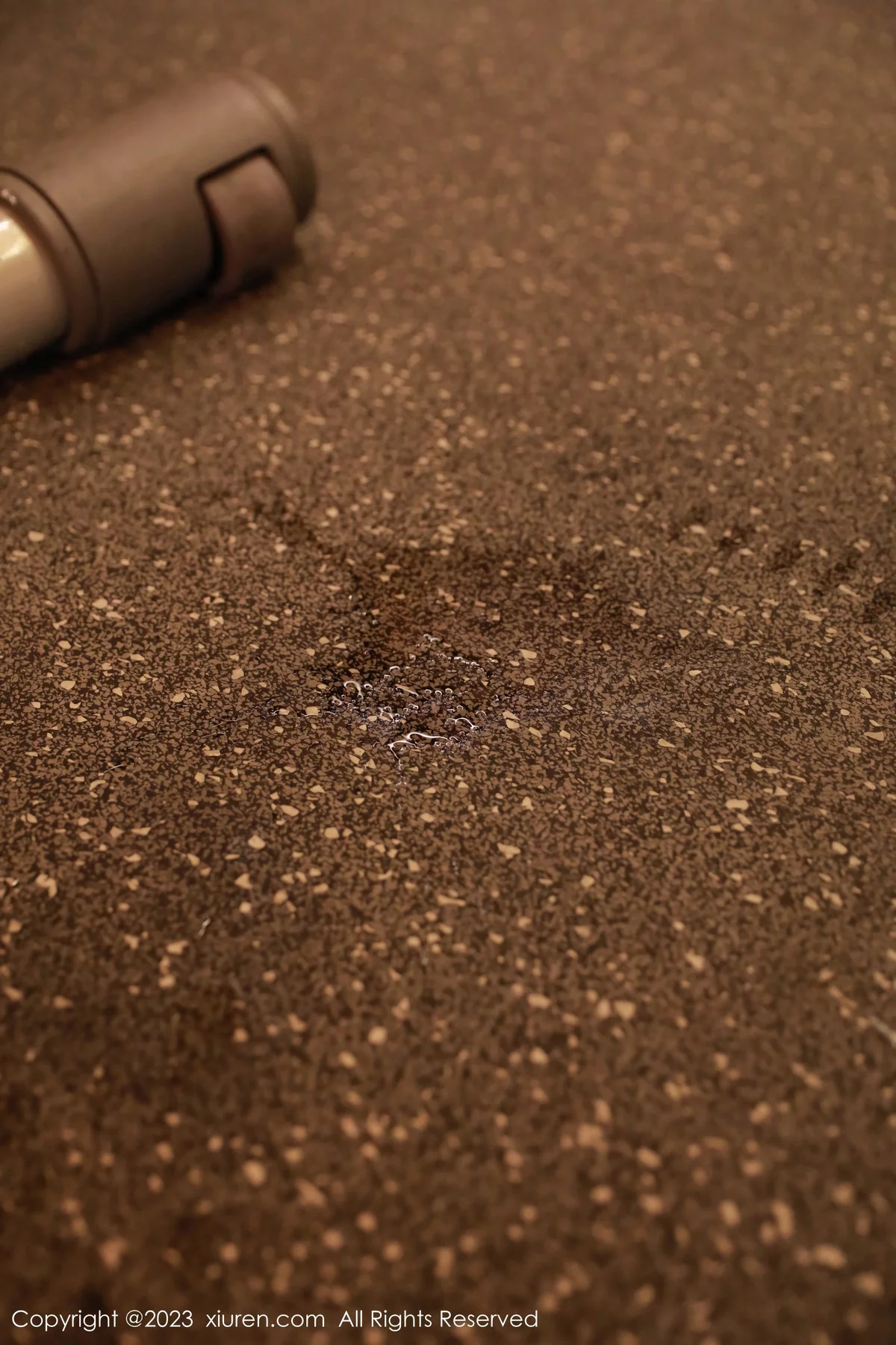 图片[35]-[XiuRen秀人网]第7821期小薯条写真-秀人资源网