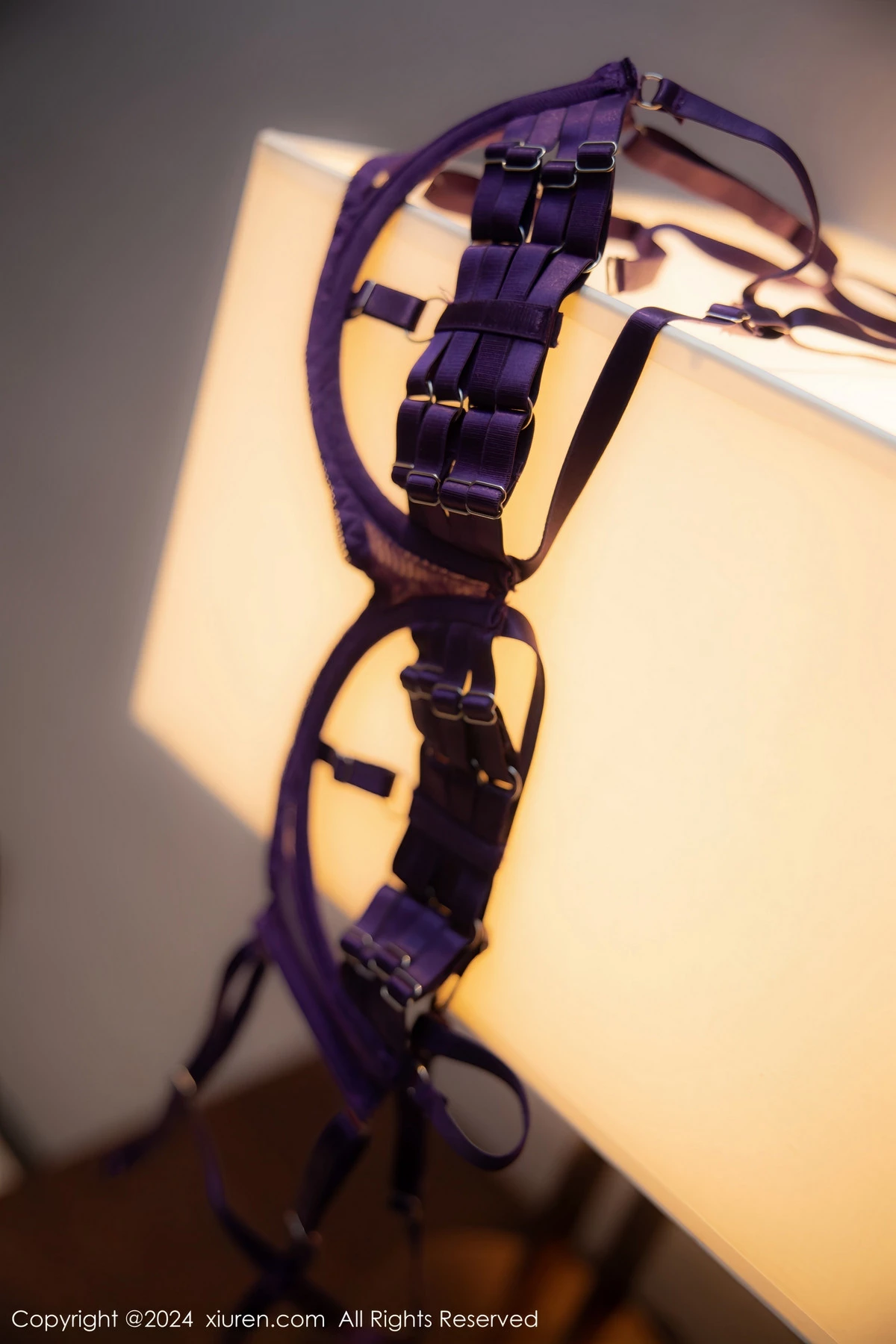 图片[15]-[XiuRen秀人网]第8046期李若汐写真-秀人资源网