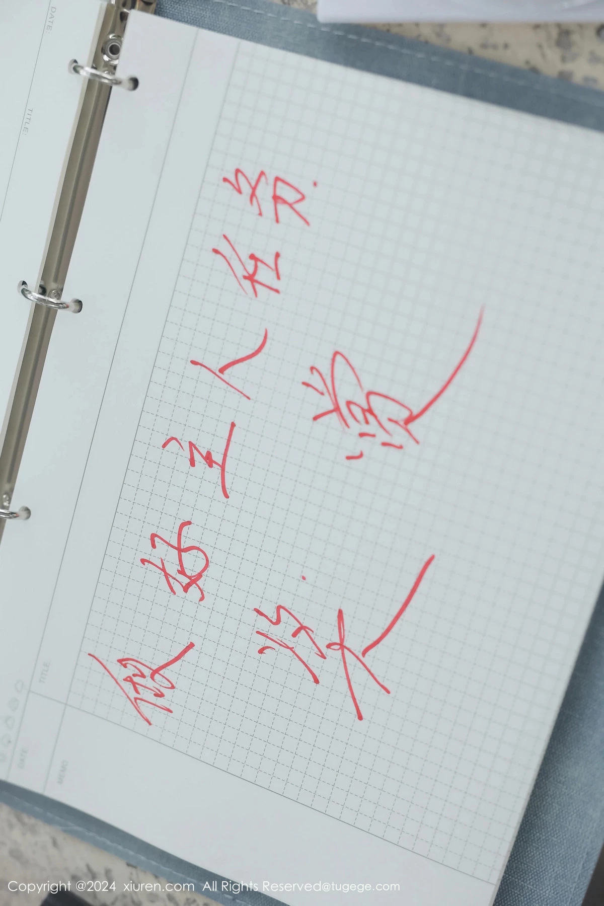 图片[3]-[XiuRen秀人网]第8335期小薯条写真-秀人资源网