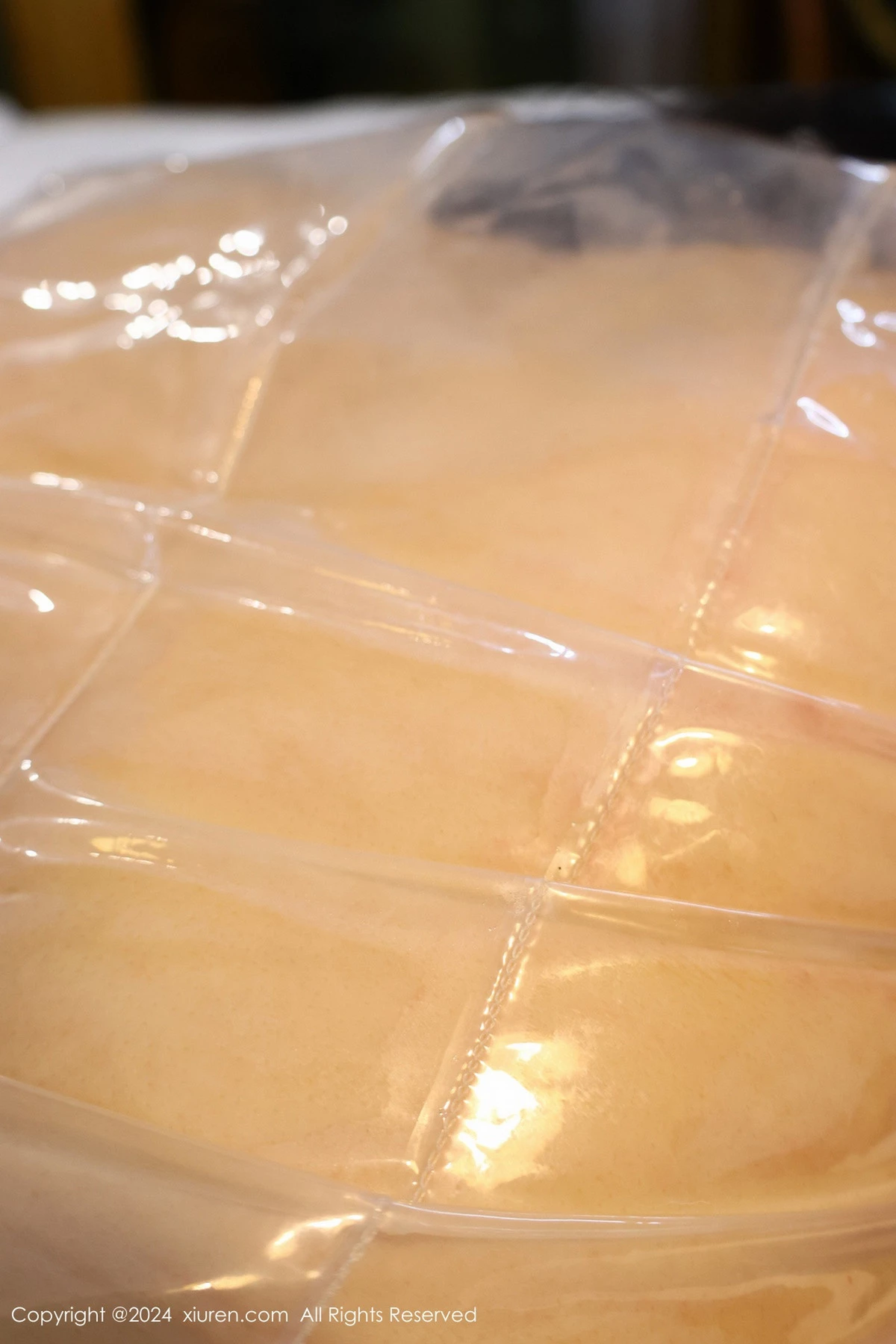 图片[17]-[XiuRen秀人网]第8517期小薯条写真-秀人资源网