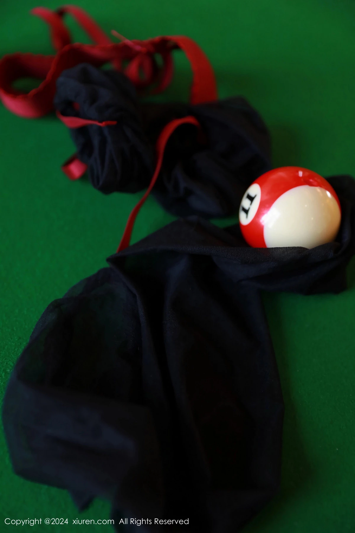 图片[14]-[XiuRen秀人网]第8946期白茹雪写真-秀人资源网