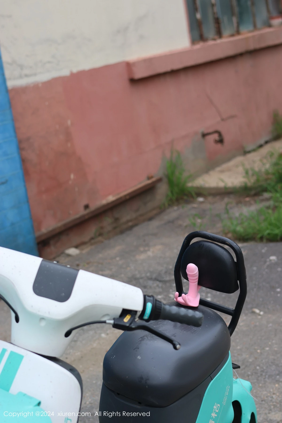 图片[9]-[XiuRen秀人网]第9024期小薯条写真-秀人资源网