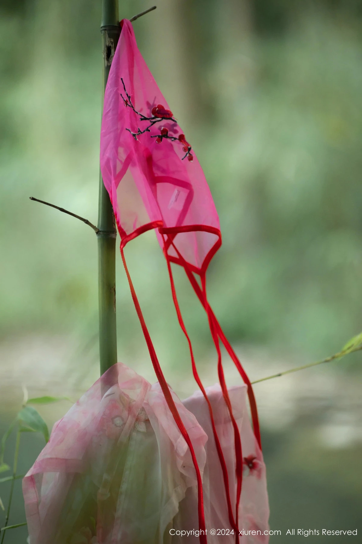 图片[22]-[XiuRen秀人网]第9100期诗诗写真-秀人资源网