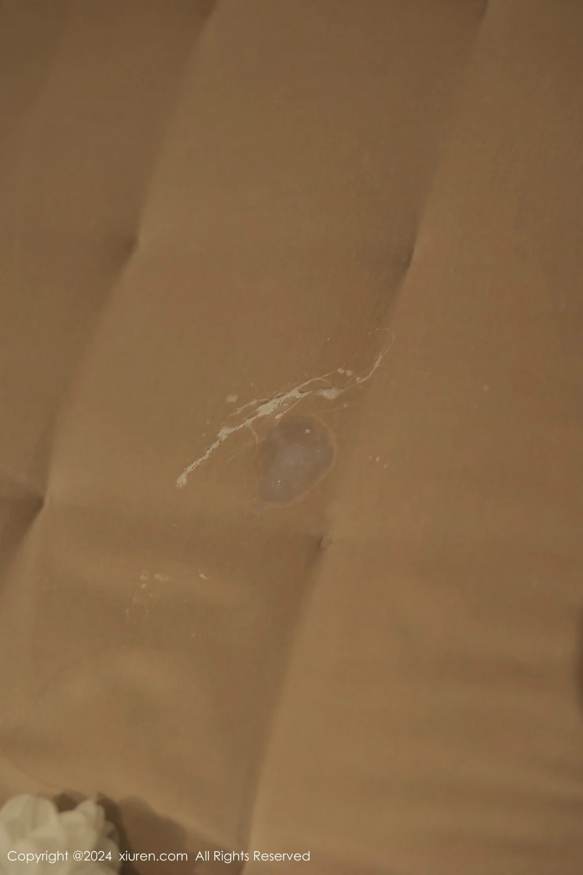 图片[14]-[XiuRen秀人网]第9601期桃妖夭写真-秀人资源网