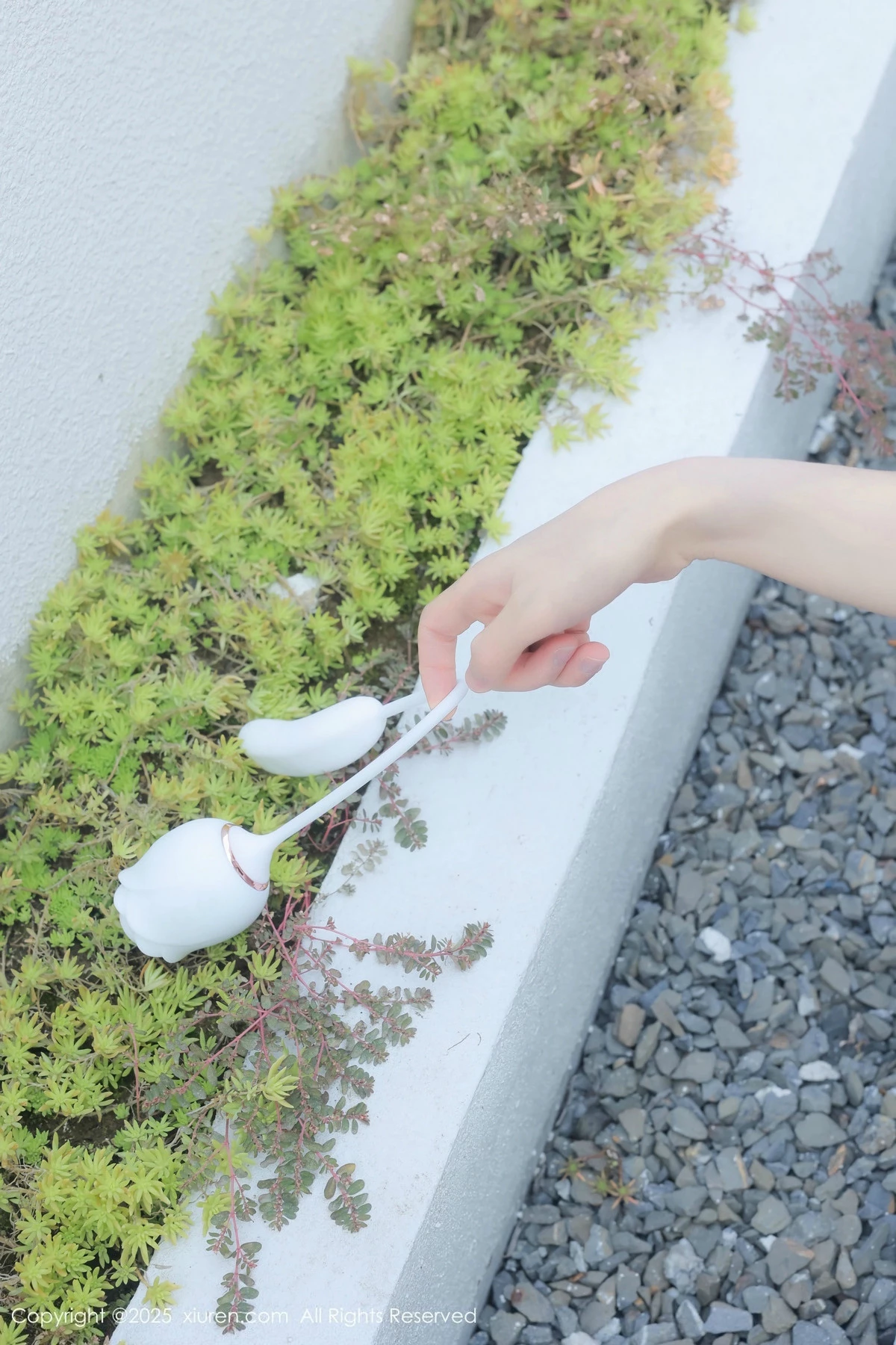 图片[23]-[XiuRen秀人网]第9851期桃妖夭写真-秀人资源网