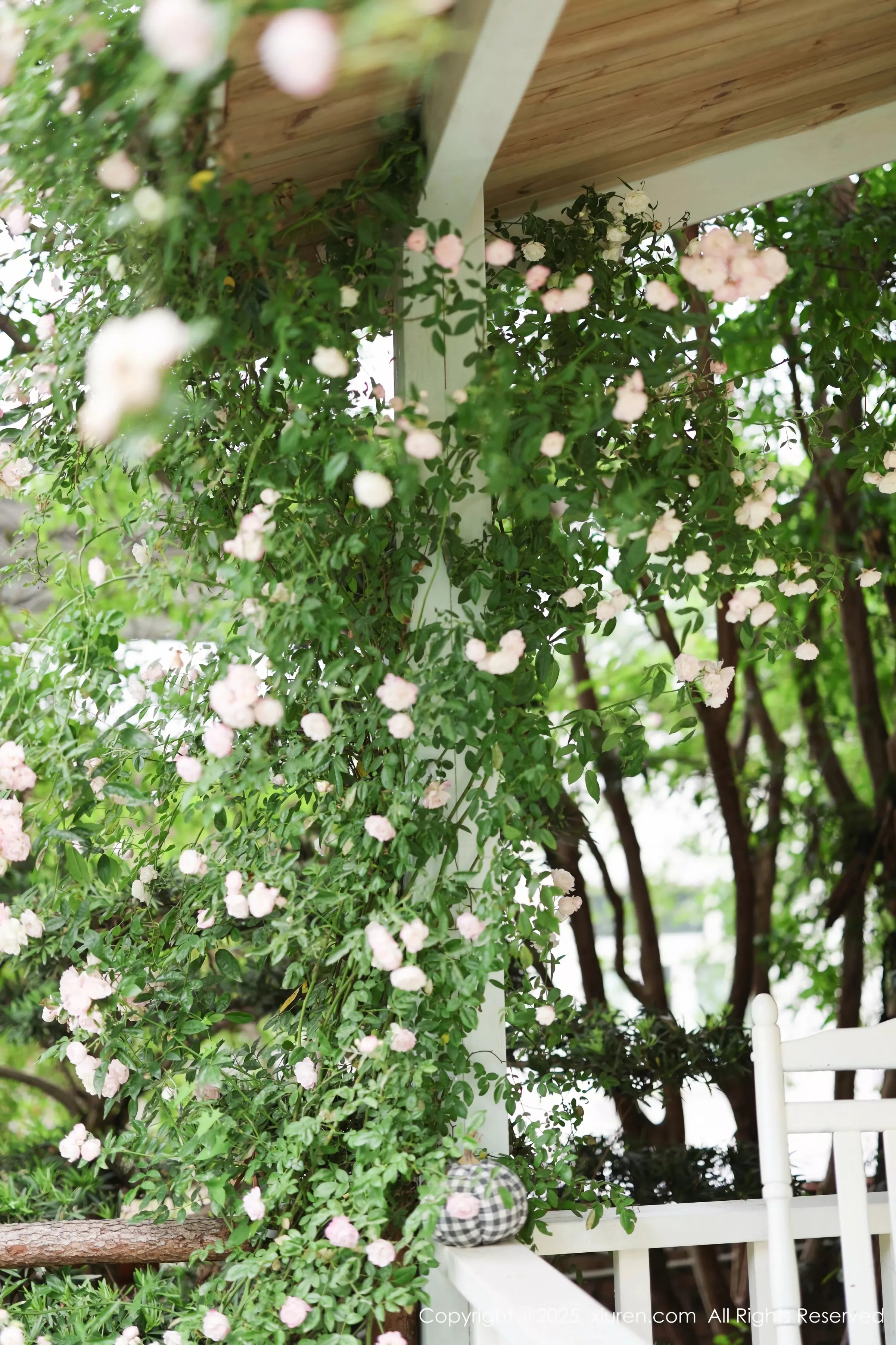 图片[8]-[XiuRen秀人网]第10215期茂木希子写真-秀人资源网