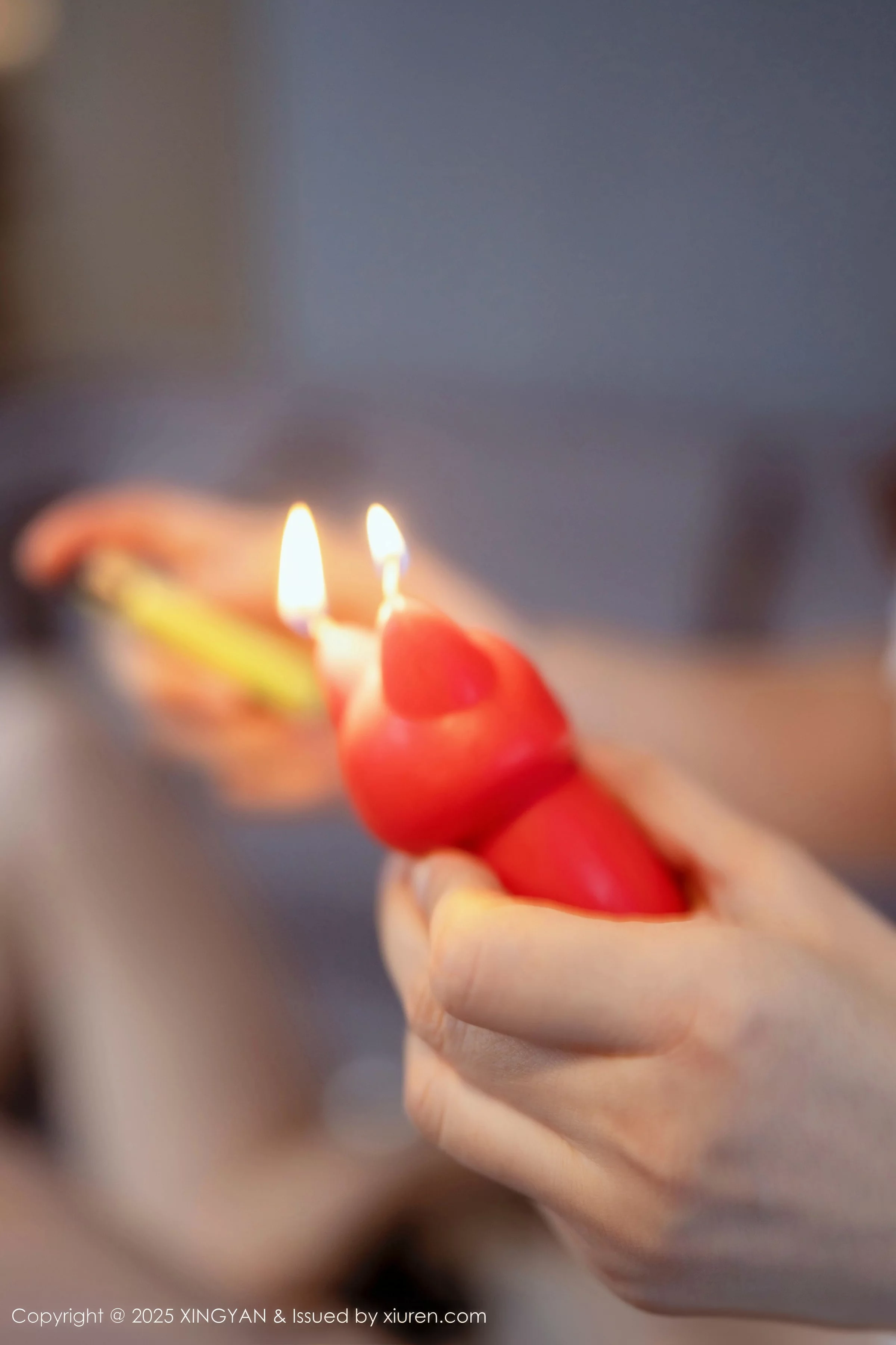 图片[4]-[XingYan星颜社]第388期李丽莎写真-秀人资源网